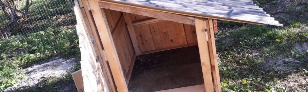 DIY Andehus