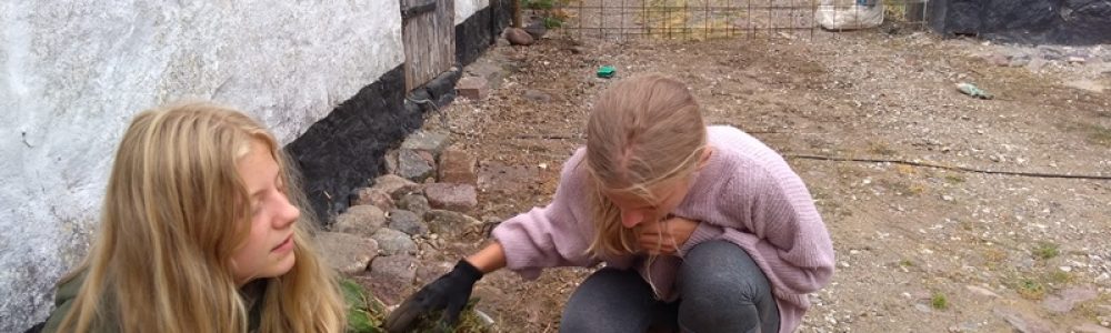 Anneksgården i Farendløse hjælpere